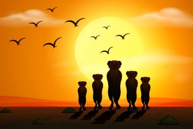 Gün batımında mirketlerle siluet sahnesi