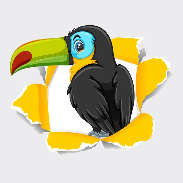 Background Template Design Wild Toucan Bird Illustration — Stock Vector