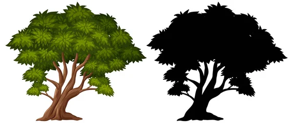 Silhouette Bilder Von Großen Baum Auf Weißem Hintergrund Illustration — Stockvektor