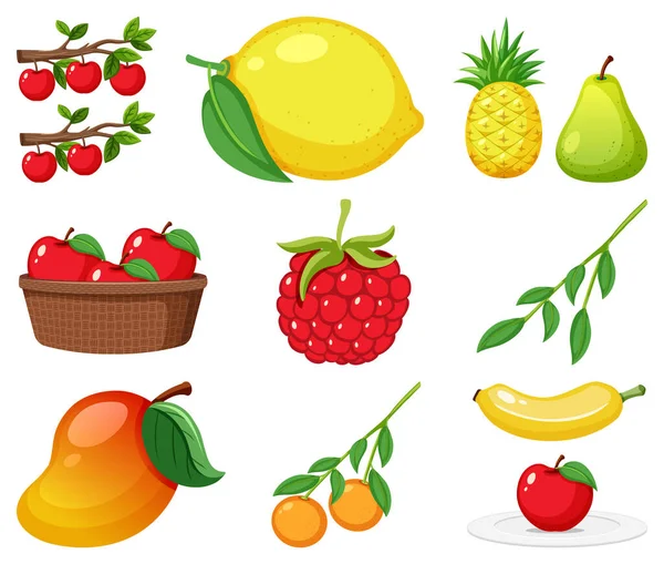 Grote Set Van Verschillende Soorten Fruit Witte Achtergrond Illustratie — Stockvector