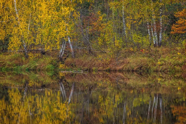 Sonbahar. Nehir Mologa.