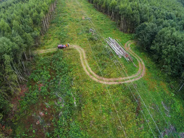 Güç hattı orman geçer