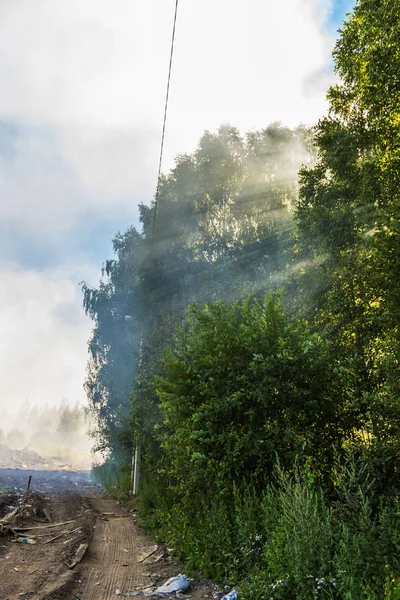 Katı atık düzenli depolama sırasında ateş.