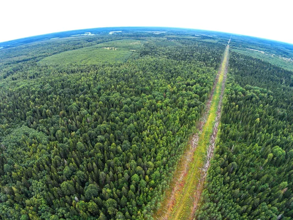 Sonsuz ormanlardan güç hattı. Havadan görünüm.