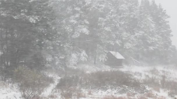 First snow. Blizzard. Bath in the village. — Stock Video