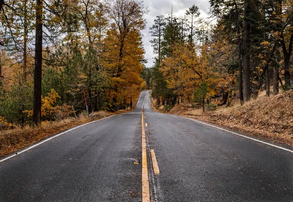 Mountain Road to Big Bear Ca, with fall colors — Stock Photo, Image