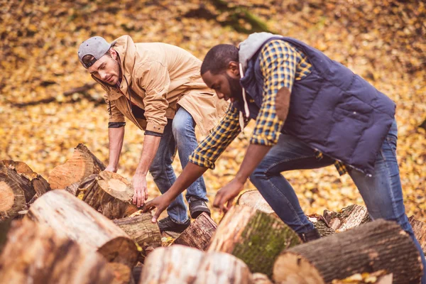 Hombres jóvenes cerca de tocones secos en el bosque —  Fotos de Stock