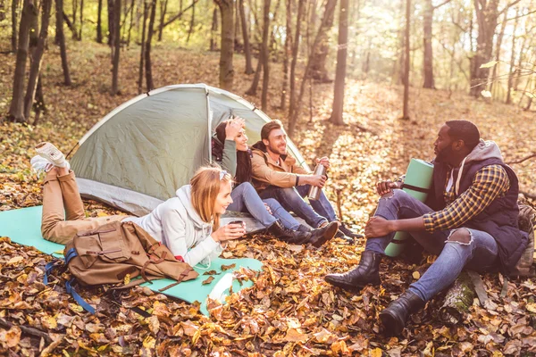 Jeunes amis voyageurs en forêt — Photo