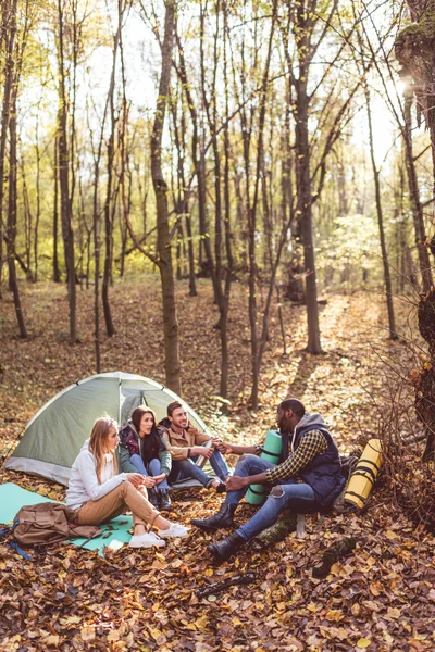 Young friends travelers in forest — Stock Photo, Image