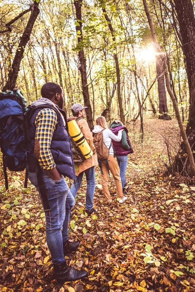 Young backpackers in autumn forest — Stock Photo, Image
