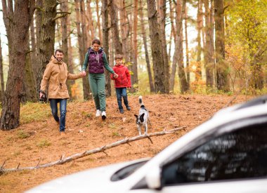 familie wandelen in herfst woud