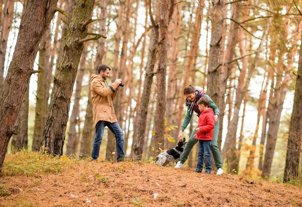 Frau und Junge spielen mit Hund im Wald — Stockfoto