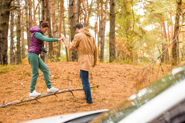 Пара прогулок в осеннем лесу
