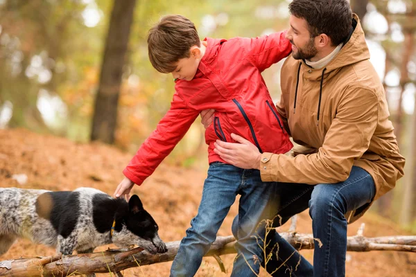 Happy boy playing with father and dog — ストック写真