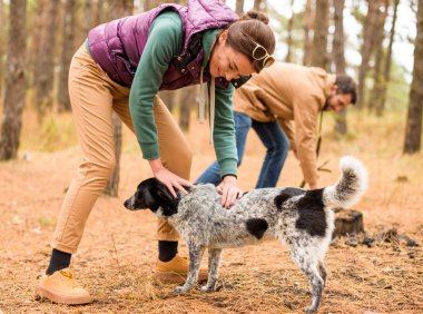 Kadın okşayarak köpek orman içinde gülümseyen