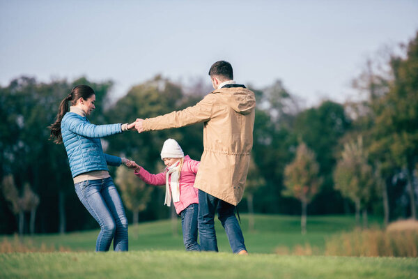 Happy family holding hands on meadow