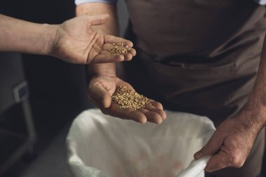 Brewery workers inspecting grains clipart