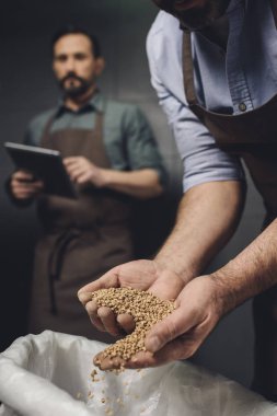 Tahıl teftiş bira fabrikası işçisi