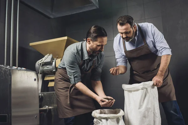 Lavoratori della birreria che ispezionano cereali — Foto Stock