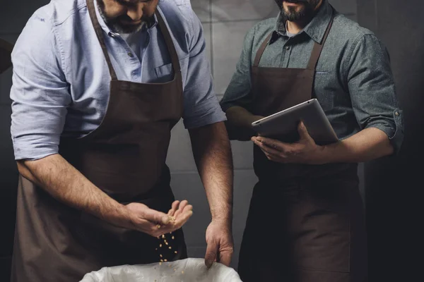 Brewery workers inspecting grains — Stock Photo, Image