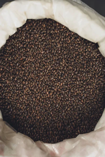 Barley in bag at brewery — Stock Photo, Image