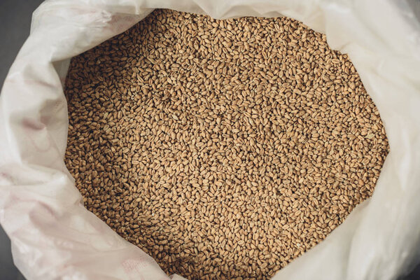 Ячмень в мешке на пивоварне
