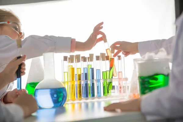 Schoolchildren making experiment — Free Stock Photo