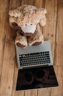 Oyuncak ayı ve laptop
