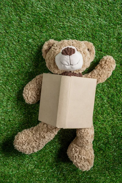 Oso de peluche y libro — Foto de Stock