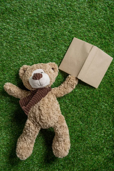 Teddy Beer en boek — Stockfoto