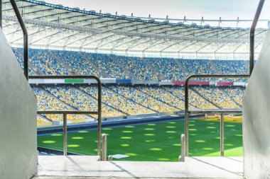 rows of stadium seats  clipart