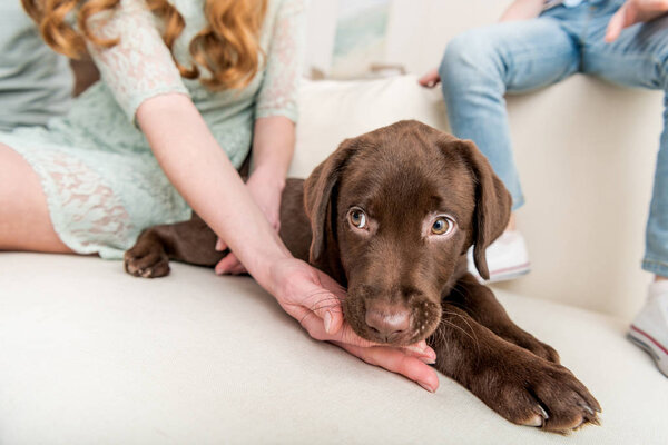 family playing with puppy  