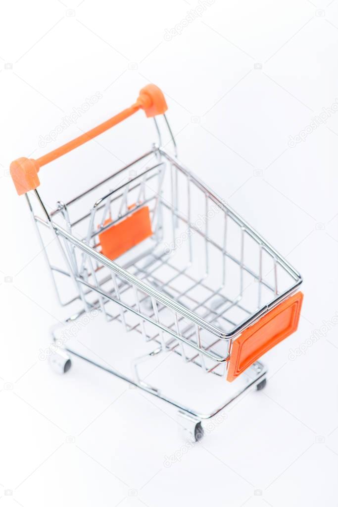 little shopping cart 