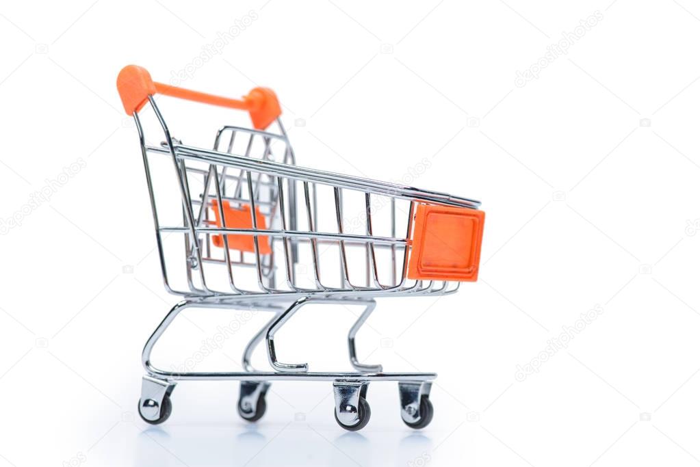 little shopping cart 