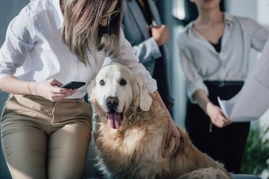Köpekle oynamayı işkadını  