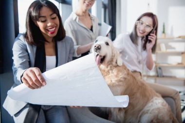 köpek için Blueprint gösterilen çok ırklı iş kadınları