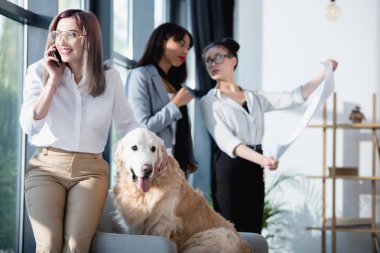 businesswoman talking on smartphone while petting dog