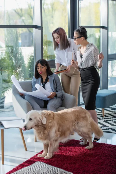 Designers looking at blueprint with dog at office — Stock Photo, Image