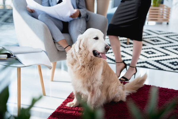business woman with dog lying at office
