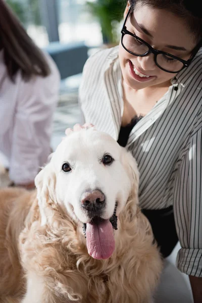 Smiling asian businesswoman petting dog — Stock Photo, Image