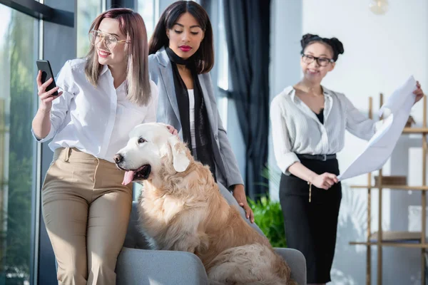 multiethnic businesswomen with dog working at office