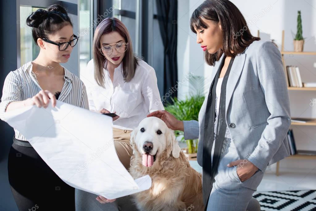 multiethnic businesswomen showing blueprint to dog