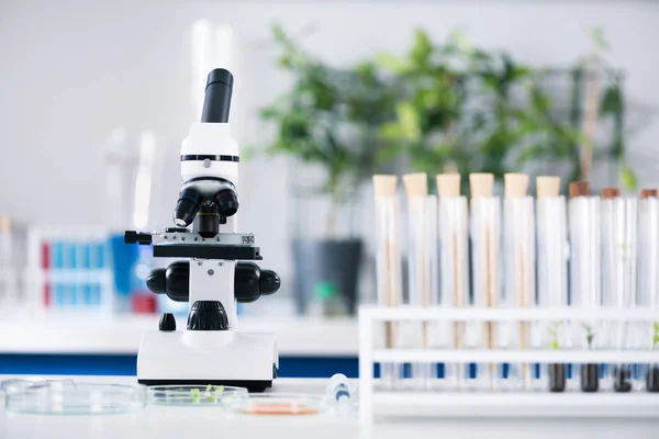 Scientific tools at laboratory — Stock Photo, Image
