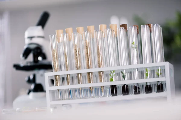 Vetenskapliga verktyg vid laboratoriet — Gratis stockfoto