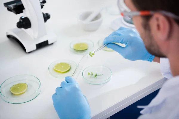 Científico masculino en laboratorio — Foto de Stock