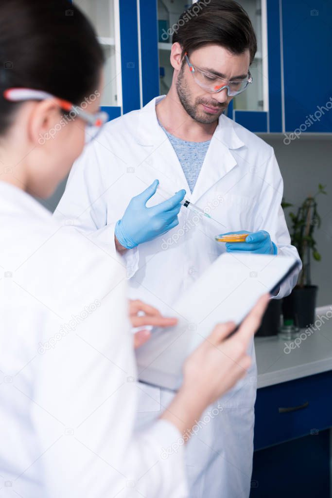 Scientists during work at laboratory 