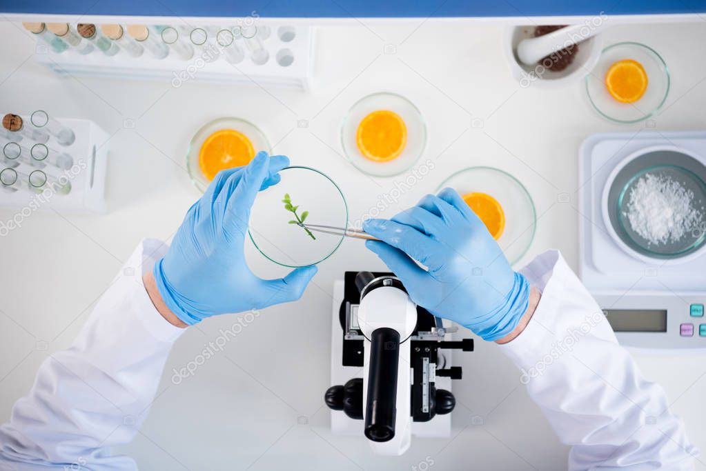 Male scientist at laboratory