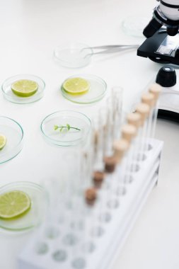Bilimsel araçlar Laboratuvarı