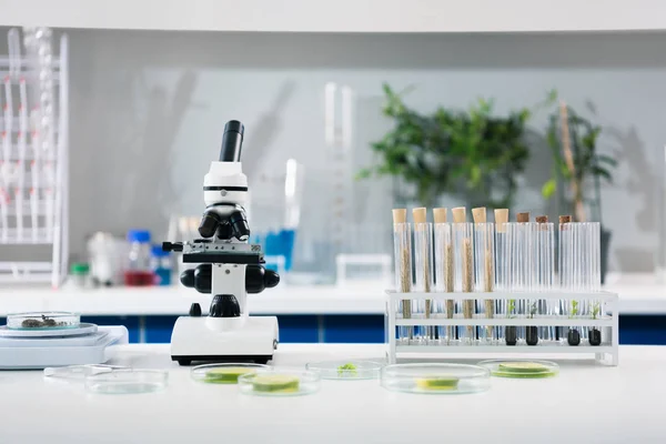Vetenskapliga verktyg vid laboratoriet — Stockfoto