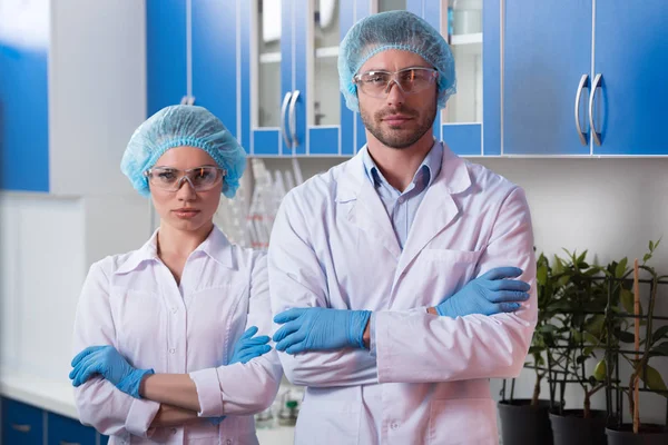 Scientists at chemical laboratory — Stock Photo, Image